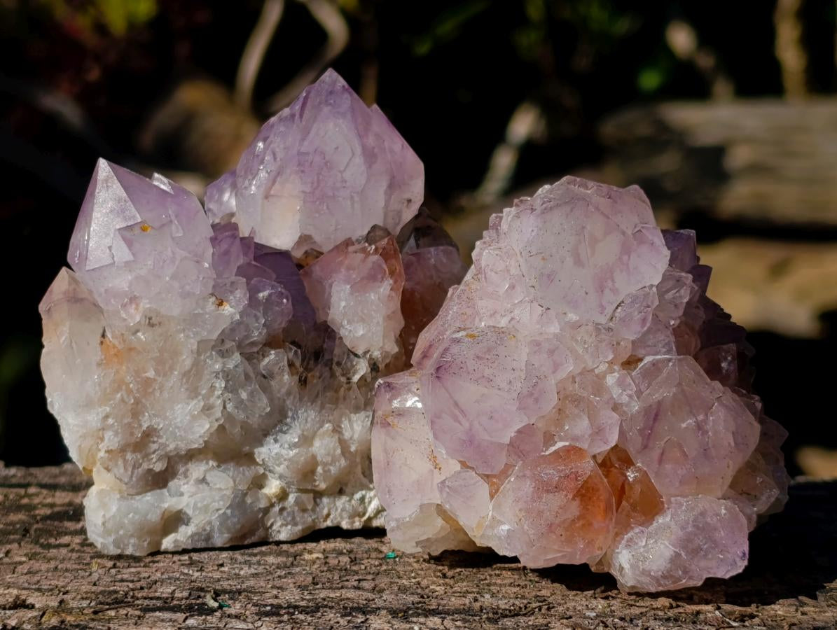 Natural Sunburst Spirit Amethyst Clusters x 6 From Boekenhouthoek, South Africa - Toprock Gemstones and Minerals 