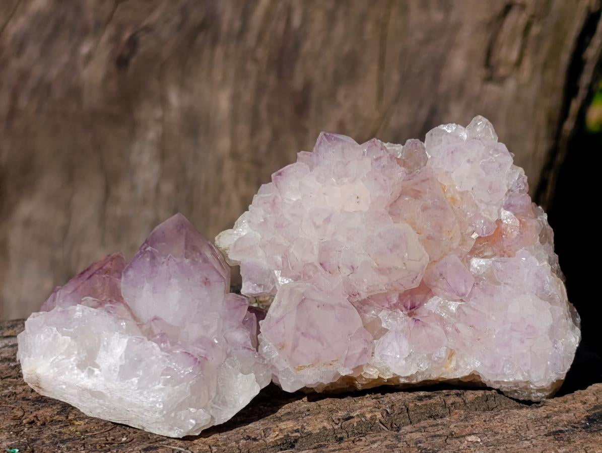 Natural Sunburst Spirit Amethyst Clusters x 6 From Boekenhouthoek, South Africa - Toprock Gemstones and Minerals 