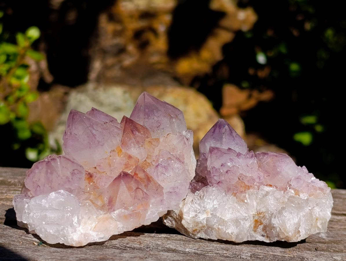 Natural Sunburst Spirit Amethyst Clusters x 6 From Boekenhouthoek, South Africa - Toprock Gemstones and Minerals 