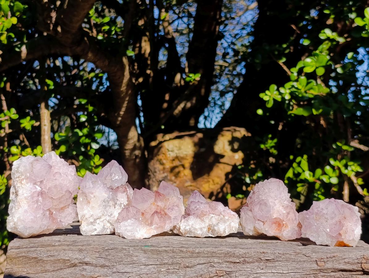 Natural Sunburst Spirit Amethyst Clusters x 6 From Boekenhouthoek, South Africa - Toprock Gemstones and Minerals 