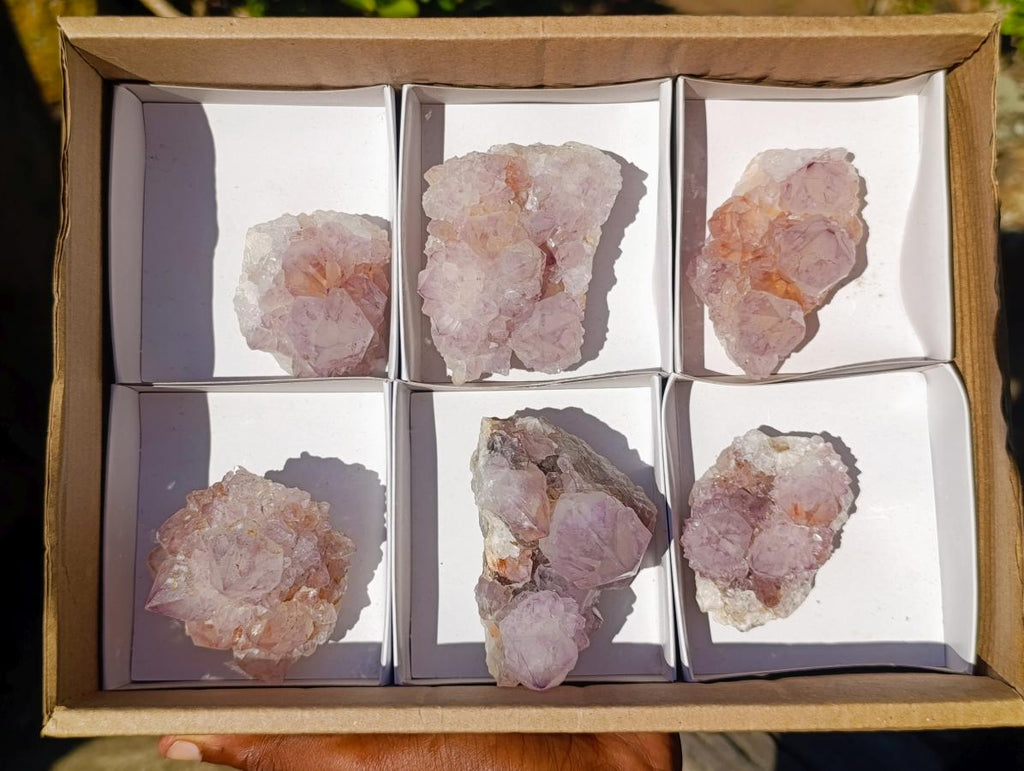 Natural Sunburst Spirit Amethyst Clusters x 6 From Boekenhouthoek, South Africa - Toprock Gemstones and Minerals 