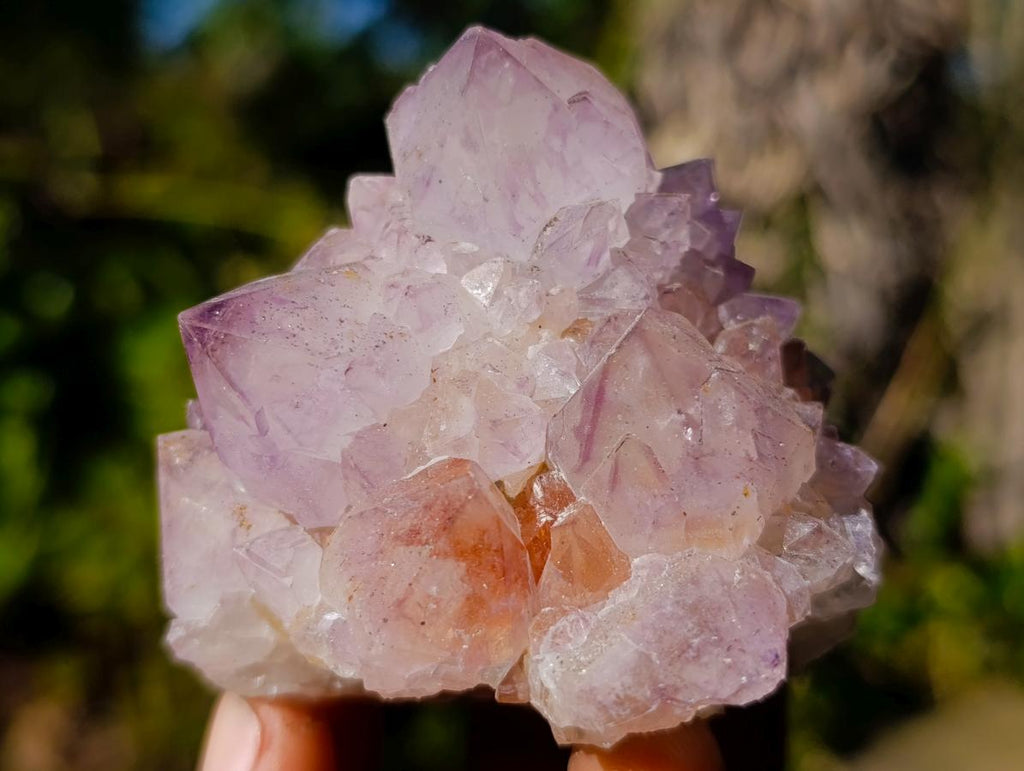 Natural Sunburst Spirit Amethyst Clusters x 6 From Boekenhouthoek, South Africa - Toprock Gemstones and Minerals 