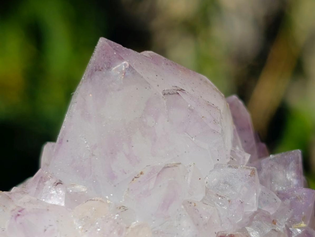 Natural Sunburst Spirit Amethyst Clusters x 6 From Boekenhouthoek, South Africa - Toprock Gemstones and Minerals 