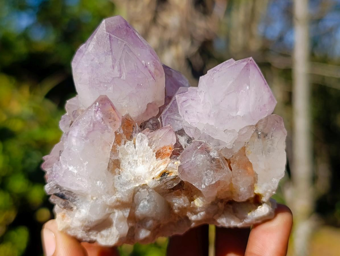 Natural Sunburst Spirit Amethyst Clusters x 6 From Boekenhouthoek, South Africa - Toprock Gemstones and Minerals 