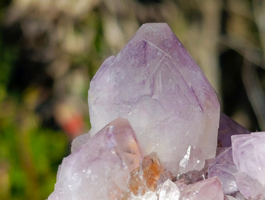 Natural Sunburst Spirit Amethyst Clusters x 6 From Boekenhouthoek, South Africa - Toprock Gemstones and Minerals 
