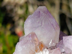 Natural Sunburst Spirit Amethyst Clusters x 6 From Boekenhouthoek, South Africa - Toprock Gemstones and Minerals 