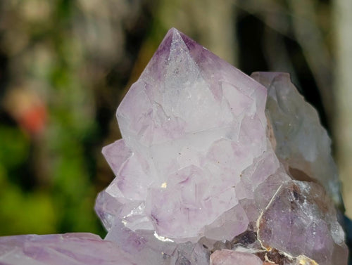 Natural Sunburst Spirit Amethyst Clusters x 6 From Boekenhouthoek, South Africa - Toprock Gemstones and Minerals 
