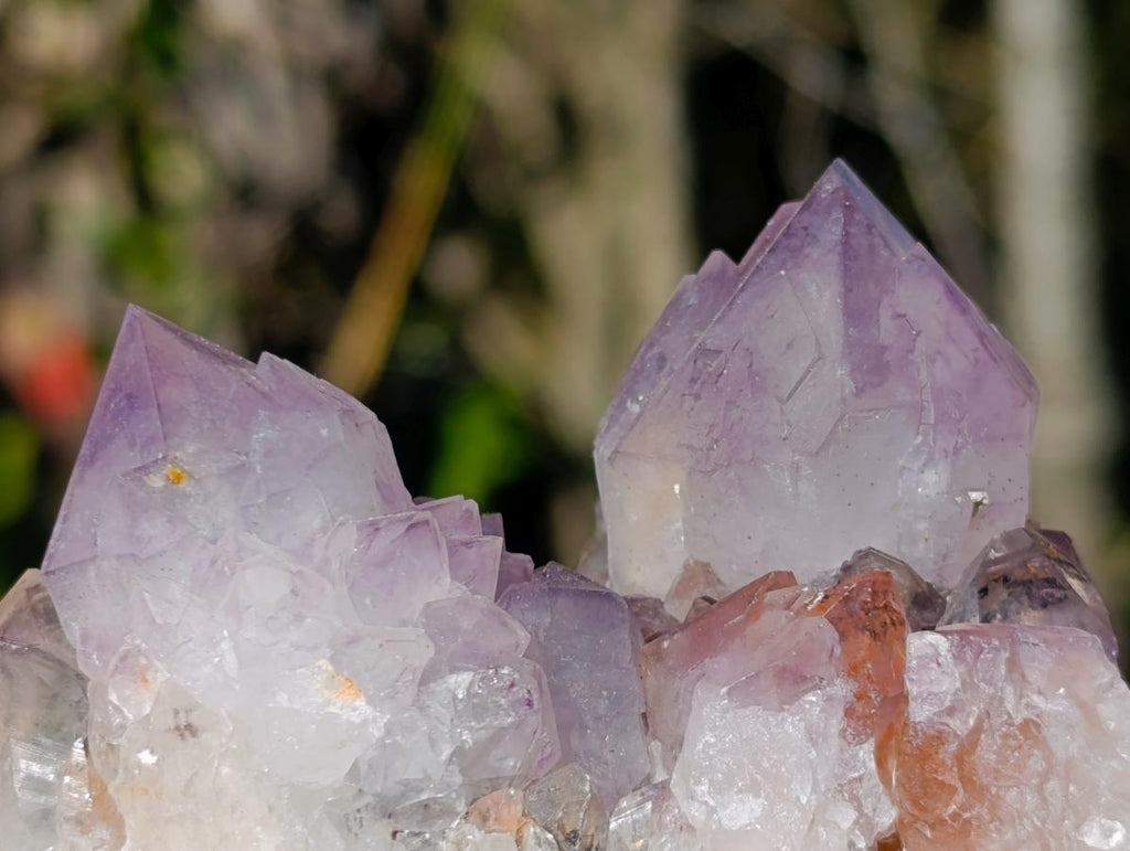Natural Sunburst Spirit Amethyst Clusters x 6 From Boekenhouthoek, South Africa - Toprock Gemstones and Minerals 