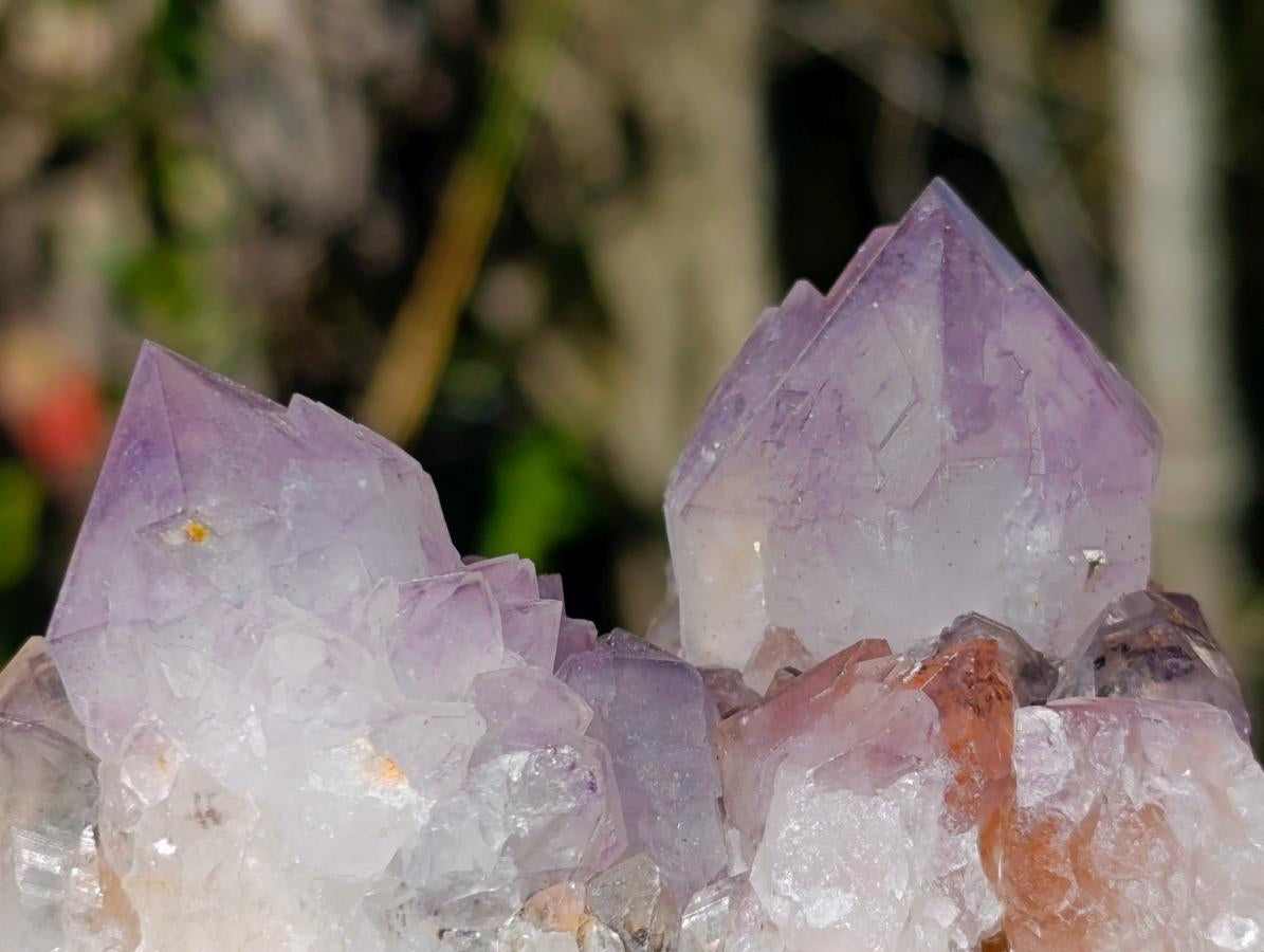 Natural Sunburst Spirit Amethyst Clusters x 6 From Boekenhouthoek, South Africa - Toprock Gemstones and Minerals 