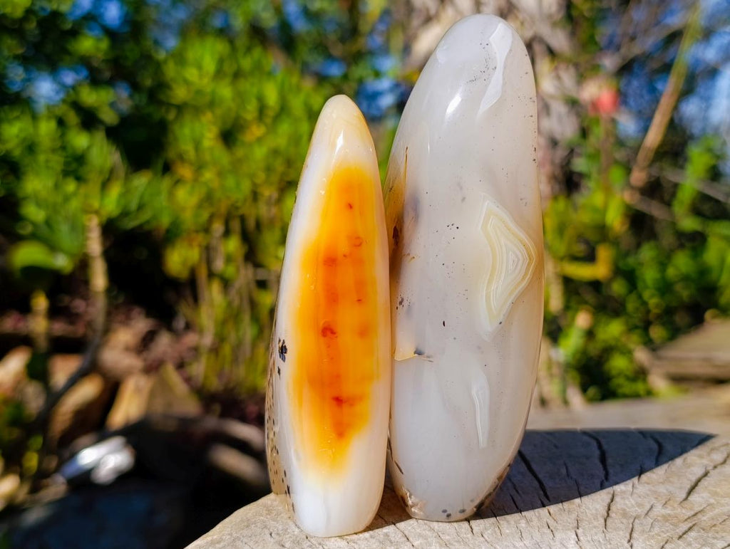 Polished Dendritic Agate Standing Display Pieces x 4 From Moralambo, Madagascar - Toprock Gemstones and Minerals 