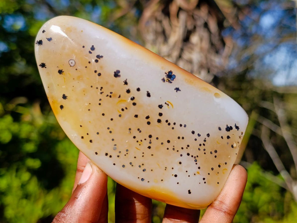 Polished Dendritic Agate Standing Display Pieces x 4 From Moralambo, Madagascar - Toprock Gemstones and Minerals 