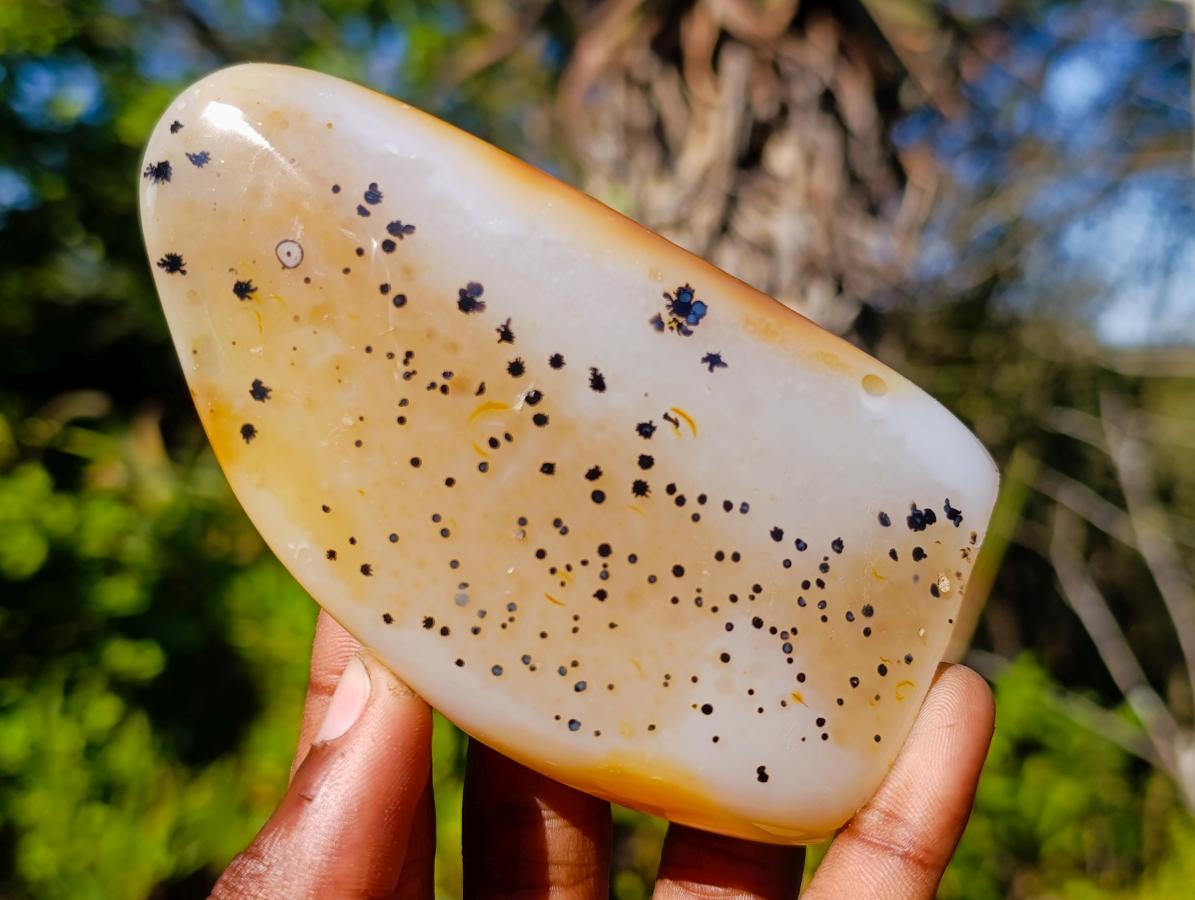 Polished Dendritic Agate Standing Display Pieces x 4 From Moralambo, Madagascar - Toprock Gemstones and Minerals 