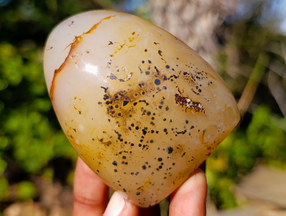 Polished Dendritic Agate Standing Display Pieces x 4 From Moralambo, Madagascar - Toprock Gemstones and Minerals 