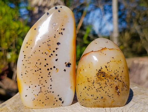 Polished Dendritic Agate Standing Display Pieces x 4 From Moralambo, Madagascar - Toprock Gemstones and Minerals 