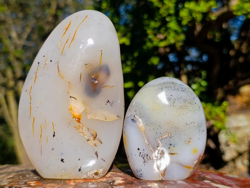 Polished Dendritic Agate Standing Display Pieces x 4 From Moralambo, Madagascar - Toprock Gemstones and Minerals 