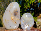 Polished Dendritic Agate Standing Display Pieces x 4 From Moralambo, Madagascar - Toprock Gemstones and Minerals 