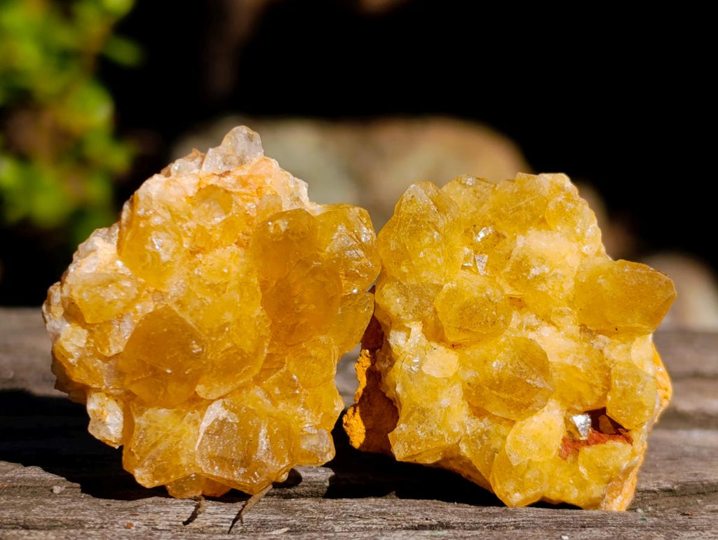 Natural Mini Golden Limonite Quartz Crystal Cluster Plates x 70 From Solwezi, Zambia - Toprock Gemstones and Minerals 