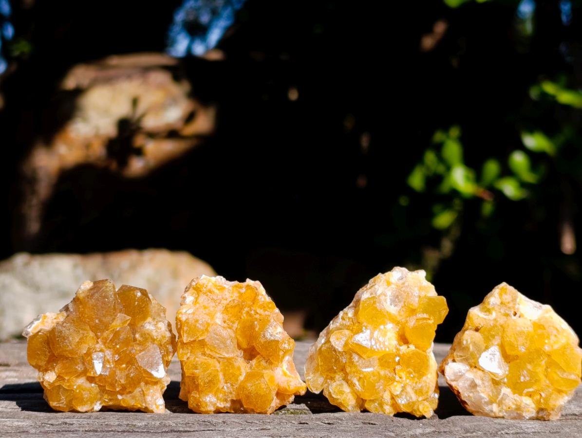 Natural Mini Golden Limonite Quartz Crystal Cluster Plates x 70 From Solwezi, Zambia - Toprock Gemstones and Minerals 