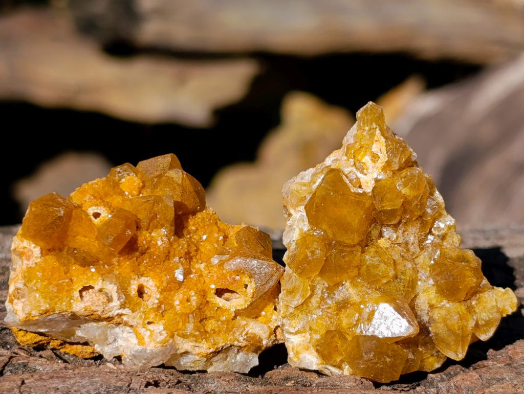 Natural Mini Golden Limonite Quartz Crystal Cluster Plates x 70 From Solwezi, Zambia - Toprock Gemstones and Minerals 