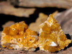 Natural Mini Golden Limonite Quartz Crystal Cluster Plates x 70 From Solwezi, Zambia - Toprock Gemstones and Minerals 