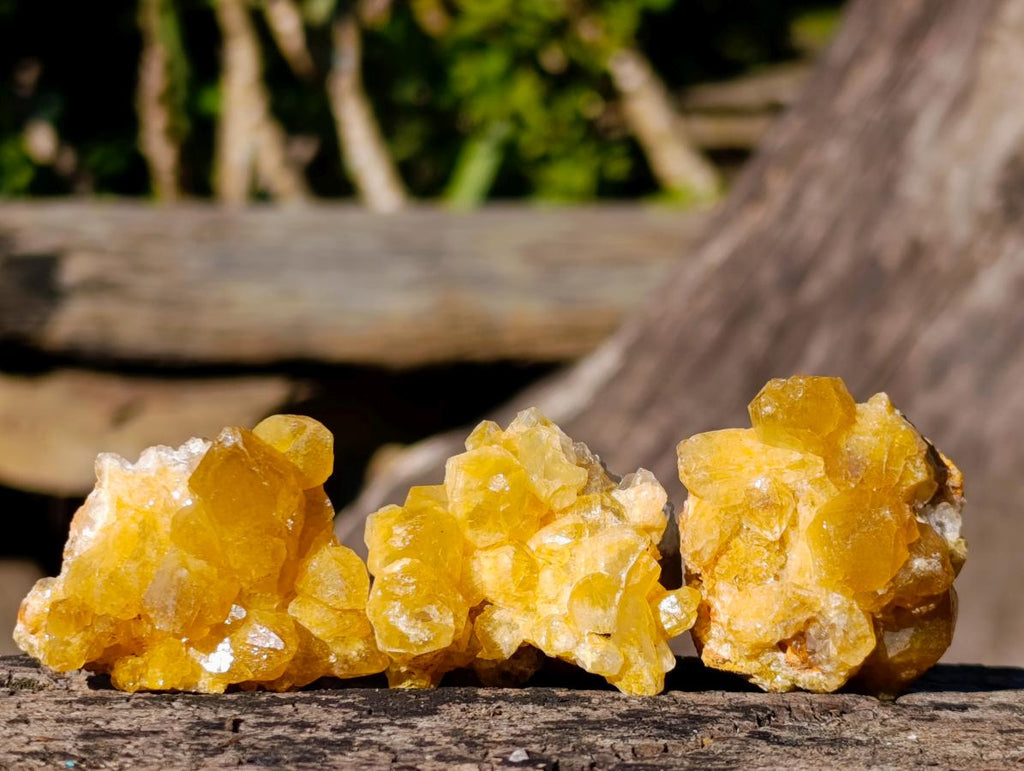 Natural Mini Golden Limonite Quartz Crystal Cluster Plates x 70 From Solwezi, Zambia - Toprock Gemstones and Minerals 