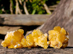 Natural Mini Golden Limonite Quartz Crystal Cluster Plates x 70 From Solwezi, Zambia - Toprock Gemstones and Minerals 