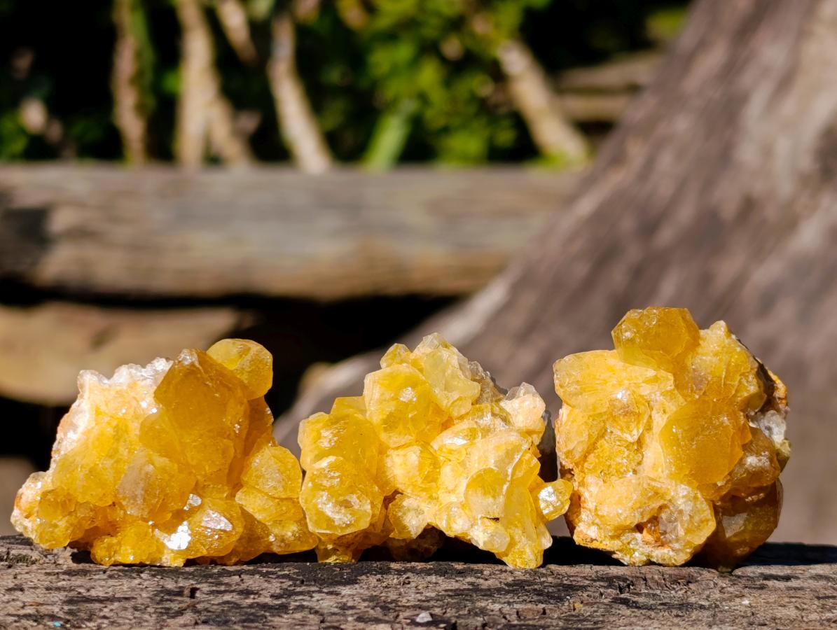 Natural Mini Golden Limonite Quartz Crystal Cluster Plates x 70 From Solwezi, Zambia - Toprock Gemstones and Minerals 