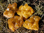 Natural Mini Golden Limonite Quartz Crystal Cluster Plates x 70 From Solwezi, Zambia - Toprock Gemstones and Minerals 
