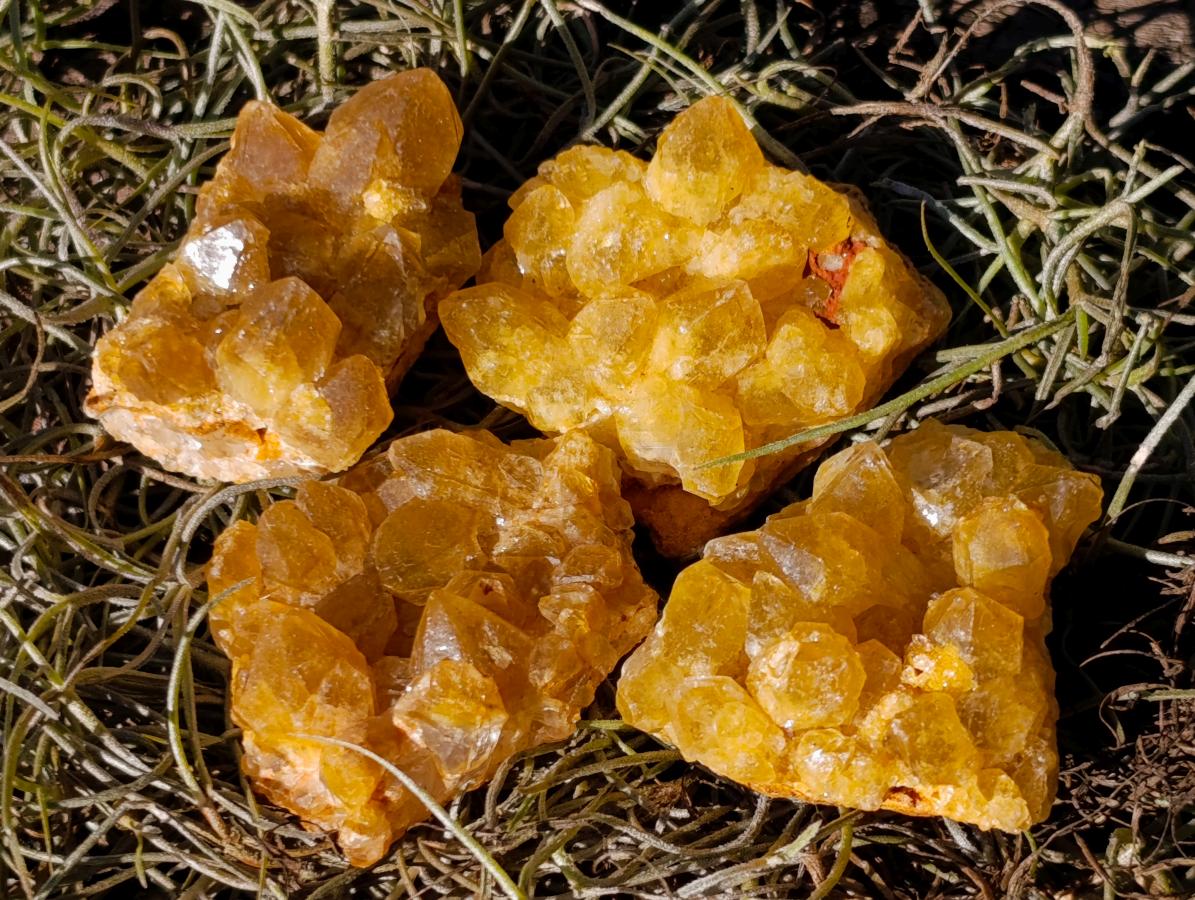 Natural Mini Golden Limonite Quartz Crystal Cluster Plates x 70 From Solwezi, Zambia - Toprock Gemstones and Minerals 