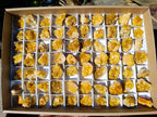 Natural Mini Golden Limonite Quartz Crystal Cluster Plates x 70 From Solwezi, Zambia - Toprock Gemstones and Minerals 