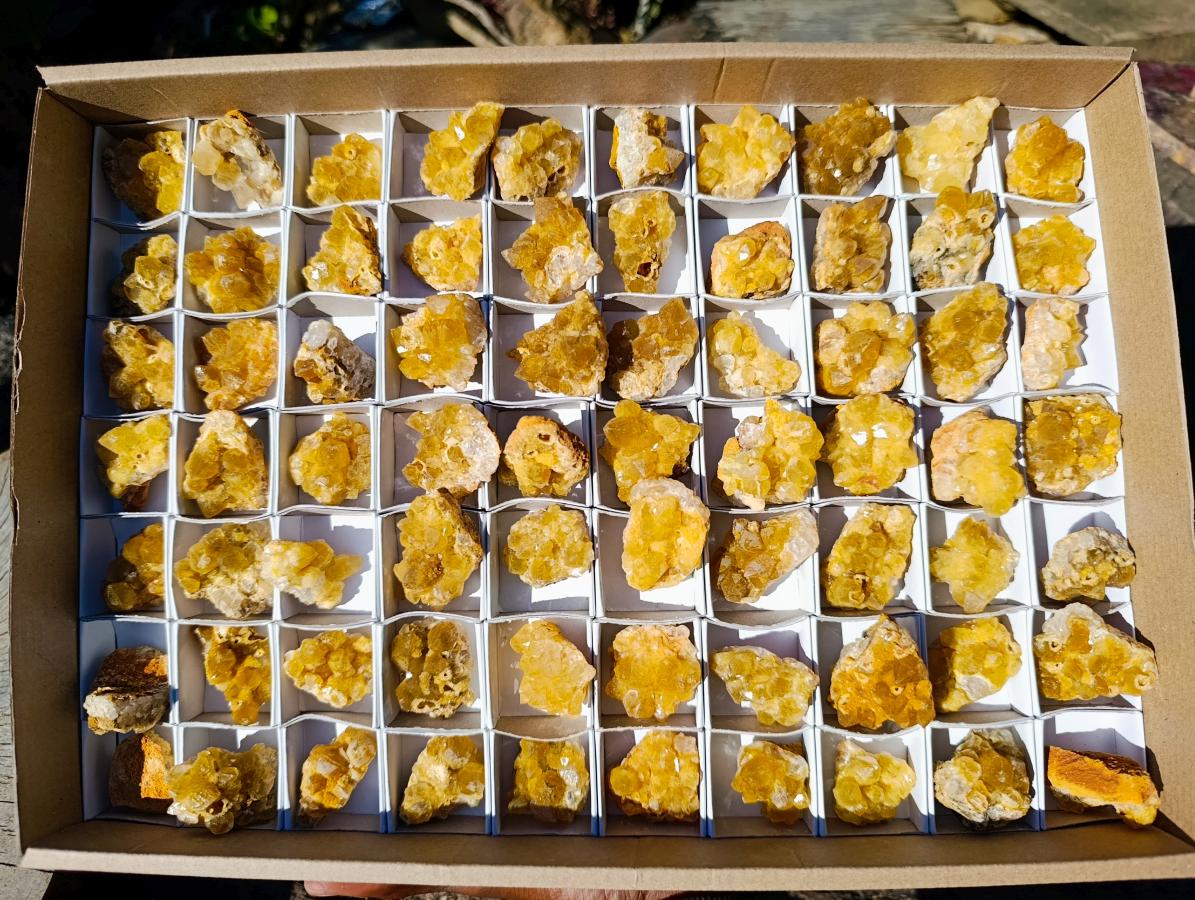 Natural Mini Golden Limonite Quartz Crystal Cluster Plates x 70 From Solwezi, Zambia - Toprock Gemstones and Minerals 