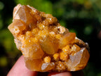 Natural Mini Golden Limonite Quartz Crystal Cluster Plates x 70 From Solwezi, Zambia - Toprock Gemstones and Minerals 