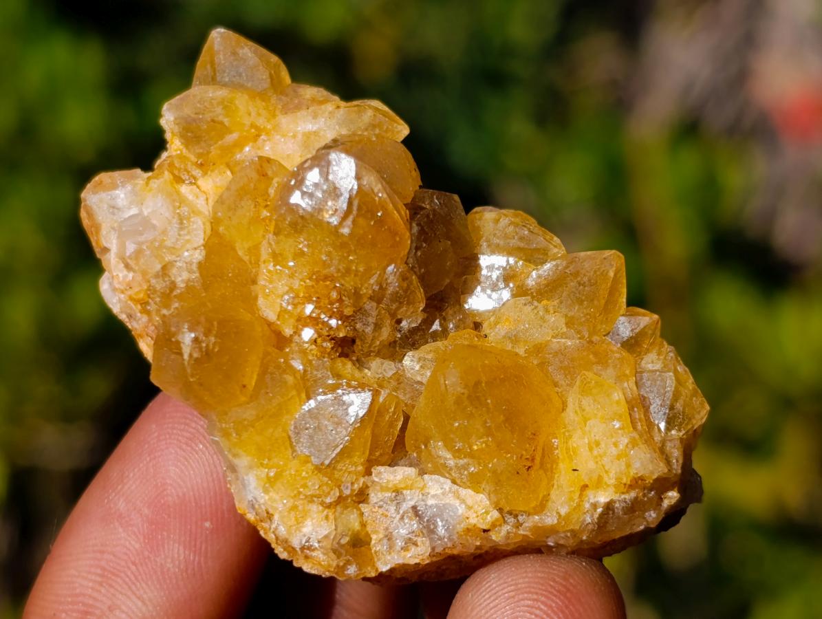Natural Mini Golden Limonite Quartz Crystal Cluster Plates x 70 From Solwezi, Zambia - Toprock Gemstones and Minerals 