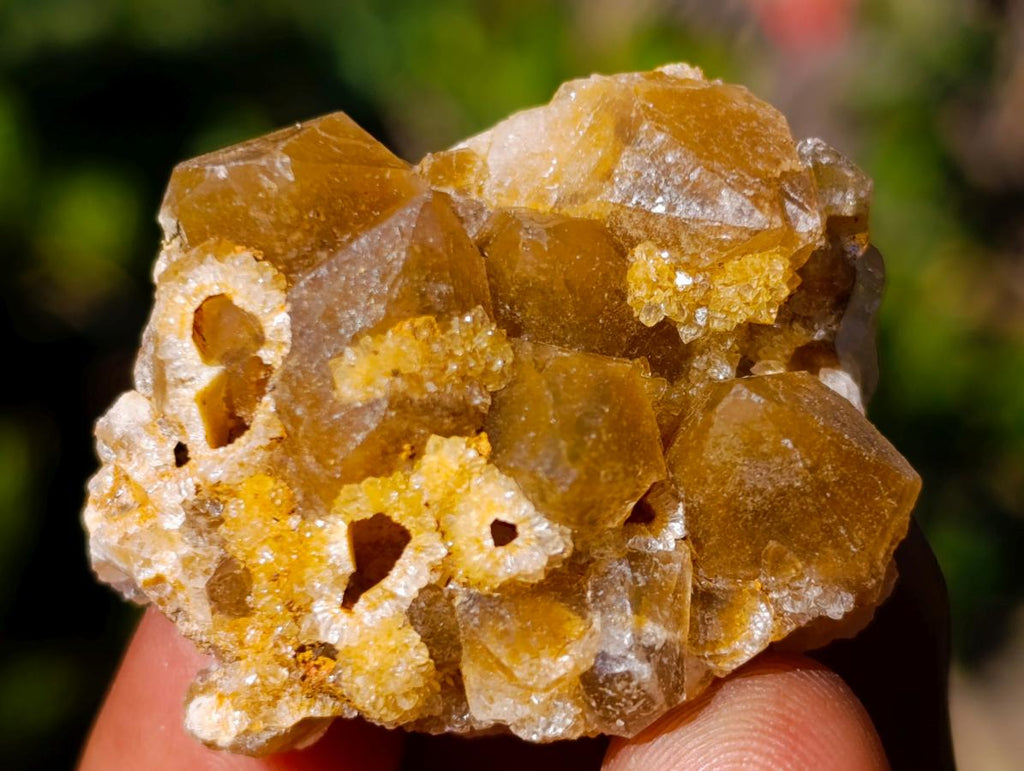 Natural Mini Golden Limonite Quartz Crystal Cluster Plates x 70 From Solwezi, Zambia - Toprock Gemstones and Minerals 