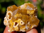 Natural Mini Golden Limonite Quartz Crystal Cluster Plates x 70 From Solwezi, Zambia - Toprock Gemstones and Minerals 