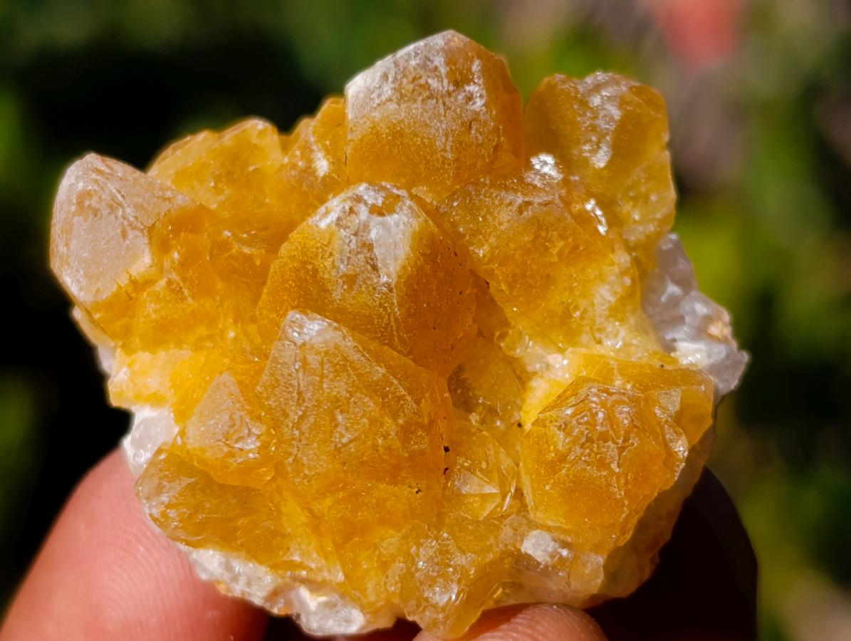 Natural Mini Golden Limonite Quartz Crystal Cluster Plates x 70 From Solwezi, Zambia - Toprock Gemstones and Minerals 