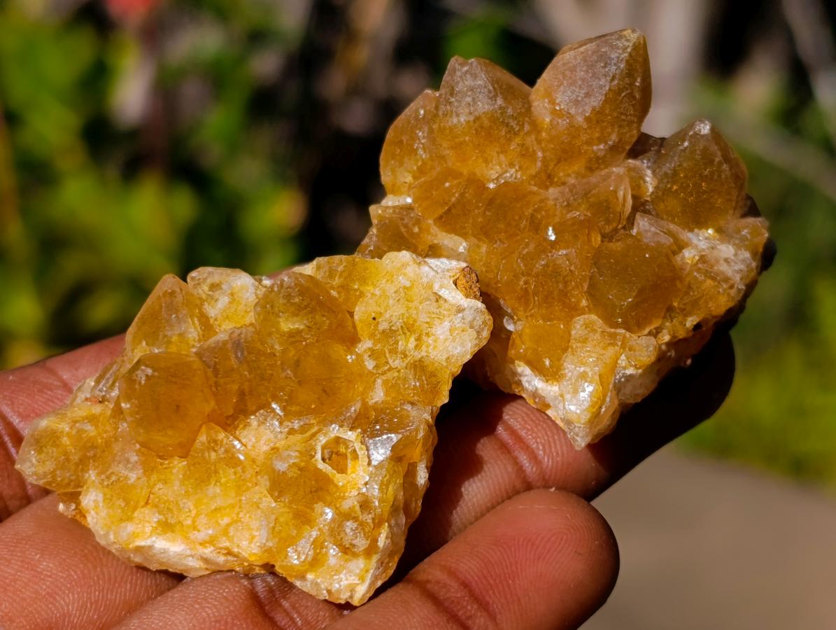 Natural Mini Golden Limonite Quartz Crystal Cluster Plates x 70 From Solwezi, Zambia - Toprock Gemstones and Minerals 