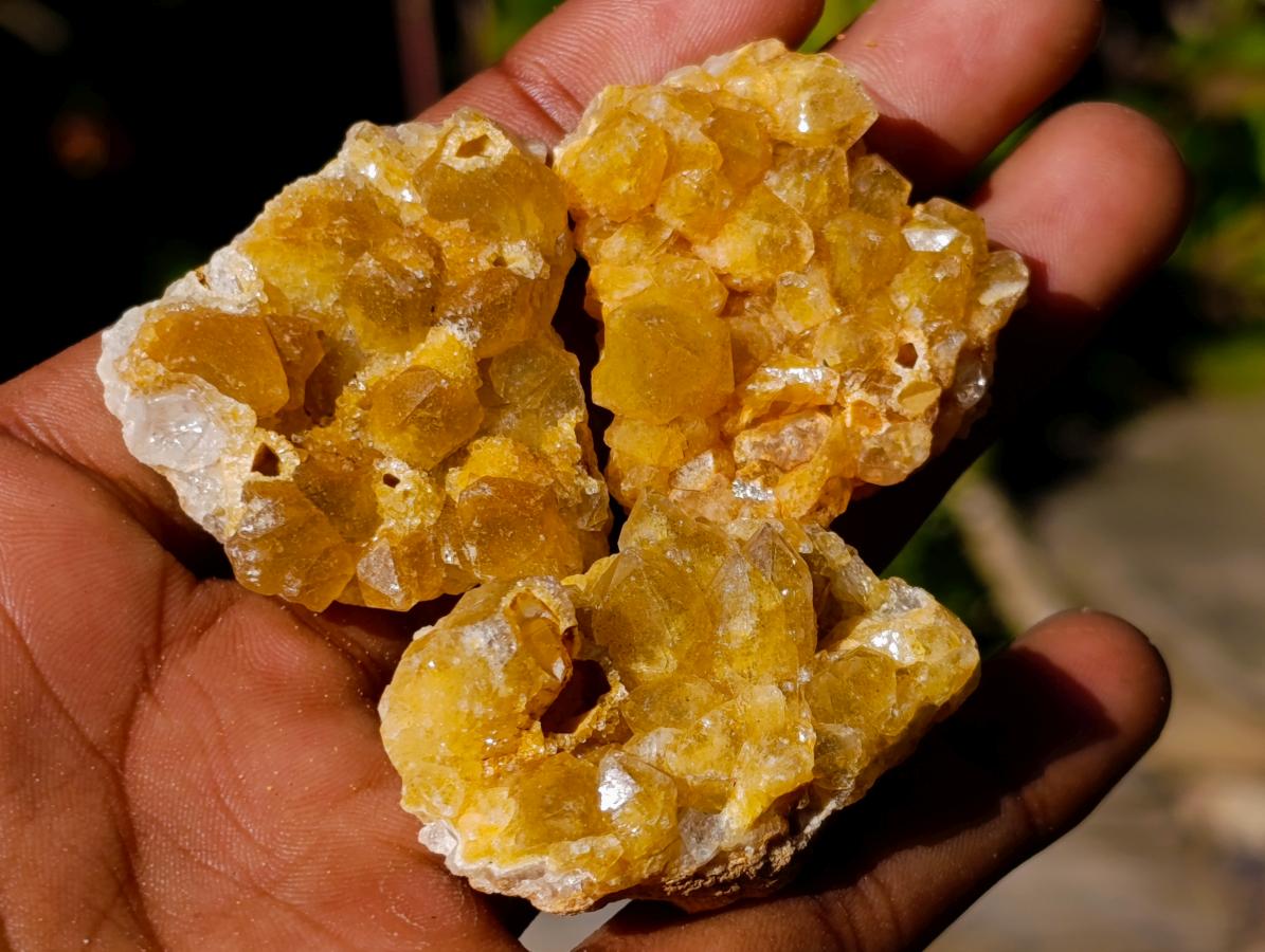 Natural Mini Golden Limonite Quartz Crystal Cluster Plates x 70 From Solwezi, Zambia - Toprock Gemstones and Minerals 
