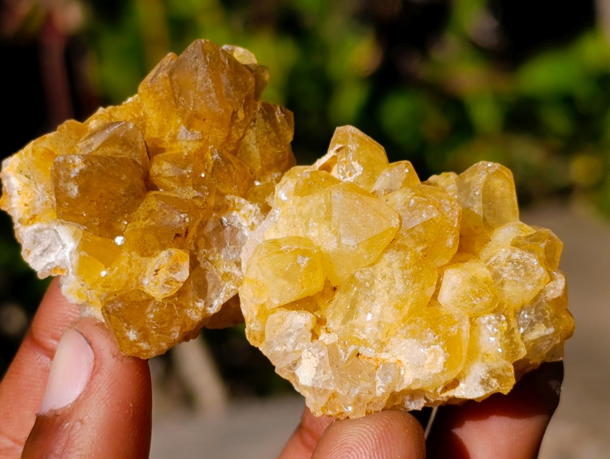 Natural Mini Golden Limonite Quartz Crystal Cluster Plates x 70 From Solwezi, Zambia - Toprock Gemstones and Minerals 