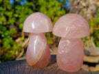 Polished Gemmy Rose Quartz Mushrooms x 6 From Madagascar - Toprock Gemstones and Minerals 