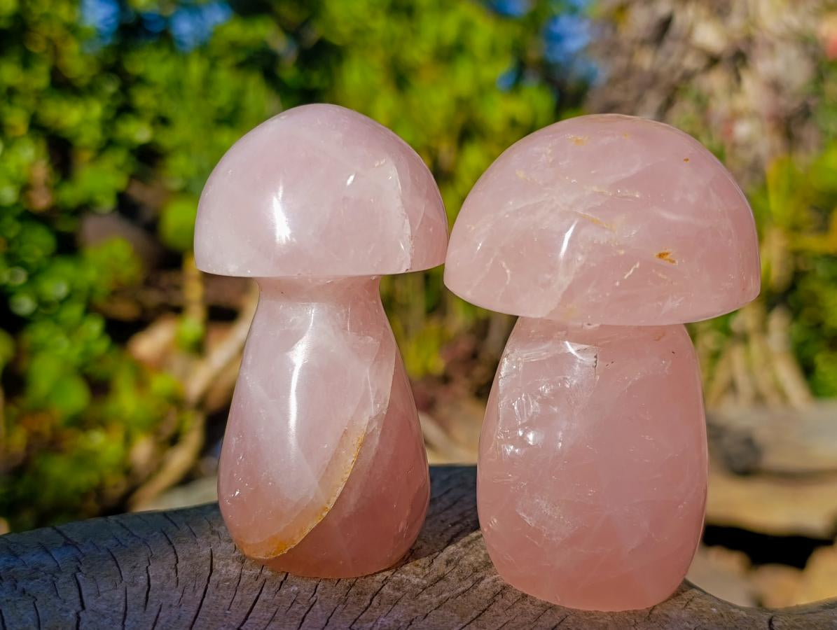 Polished Gemmy Rose Quartz Mushrooms x 6 From Madagascar - Toprock Gemstones and Minerals 