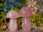 Polished Gemmy Rose Quartz Mushrooms x 6 From Madagascar - Toprock Gemstones and Minerals 