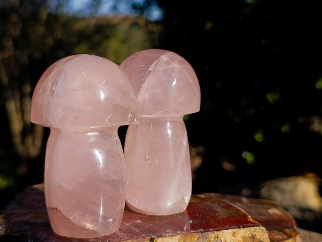 Polished Gemmy Rose Quartz Mushrooms x 6 From Madagascar - Toprock Gemstones and Minerals 