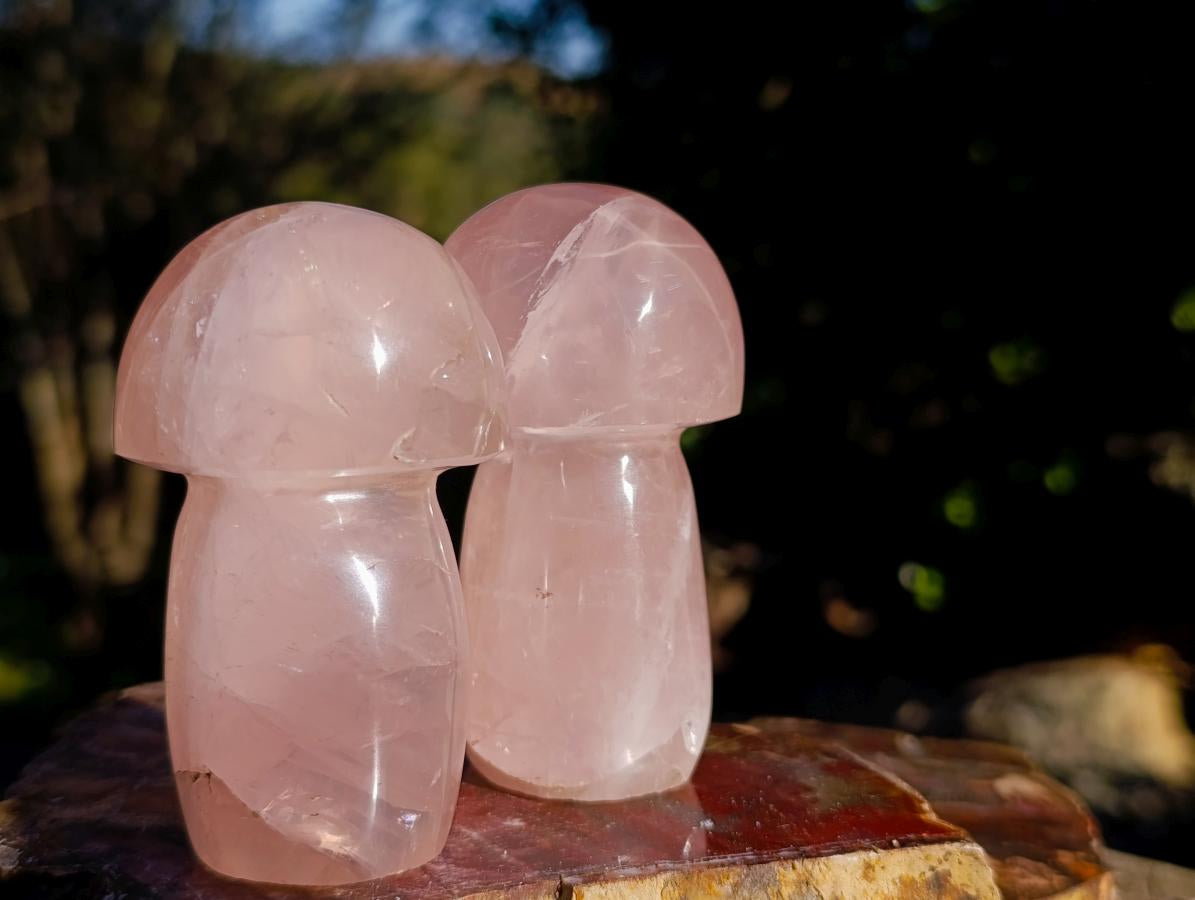 Polished Gemmy Rose Quartz Mushrooms x 6 From Madagascar - Toprock Gemstones and Minerals 