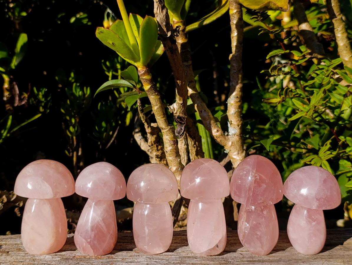 Polished Gemmy Rose Quartz Mushrooms x 6 From Madagascar - Toprock Gemstones and Minerals 