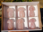 Polished Gemmy Rose Quartz Mushrooms x 6 From Madagascar - Toprock Gemstones and Minerals 