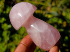 Polished Gemmy Rose Quartz Mushrooms x 6 From Madagascar - Toprock Gemstones and Minerals 