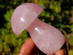 Polished Gemmy Rose Quartz Mushrooms x 6 From Madagascar - Toprock Gemstones and Minerals 