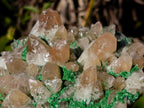 Natural Large Calcite Specimen with Kolwezite and Dogtooth Crystals on Pink Dolomite x 1 From Mashamba West Mine, Congo - Toprock Gemstones and Minerals 