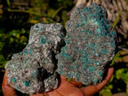 Natural Emerald Mica 'Mutokolite' Cobbed Specimens x 3 From Mutoko, Zimbabwe - Toprock Gemstones and Minerals 